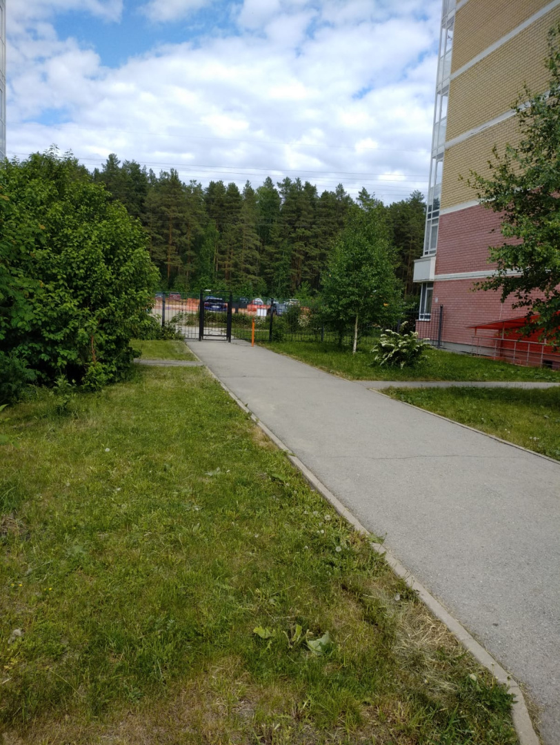 выход на вонс.jpeg